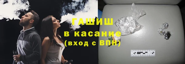 индика Бикин