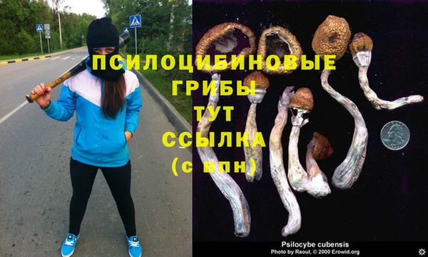 дурь Нефтекумск
