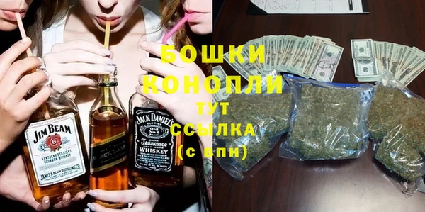 индика Бикин