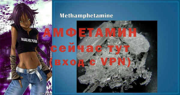 индика Бикин