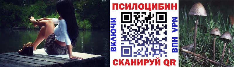 Псилоцибиновые грибы GOLDEN TEACHER  Алзамай 
